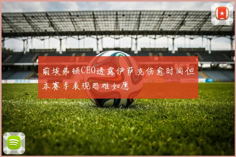 前埃弗顿CEO透露伊萨克伤愈时间但本赛季表现恐难如愿